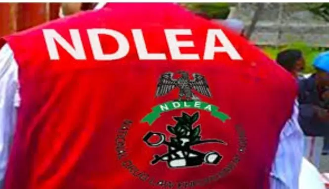 NDLEA, CSO to Intensify Seizure of Properties Used by Drug Dealers in Lagos
