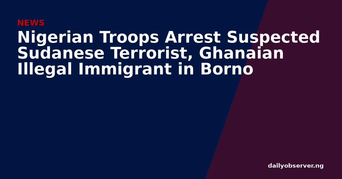 Nigerian Troops Arrest Suspected Sudanese Terrorist, Ghanaian Illegal Immigrant in Borno