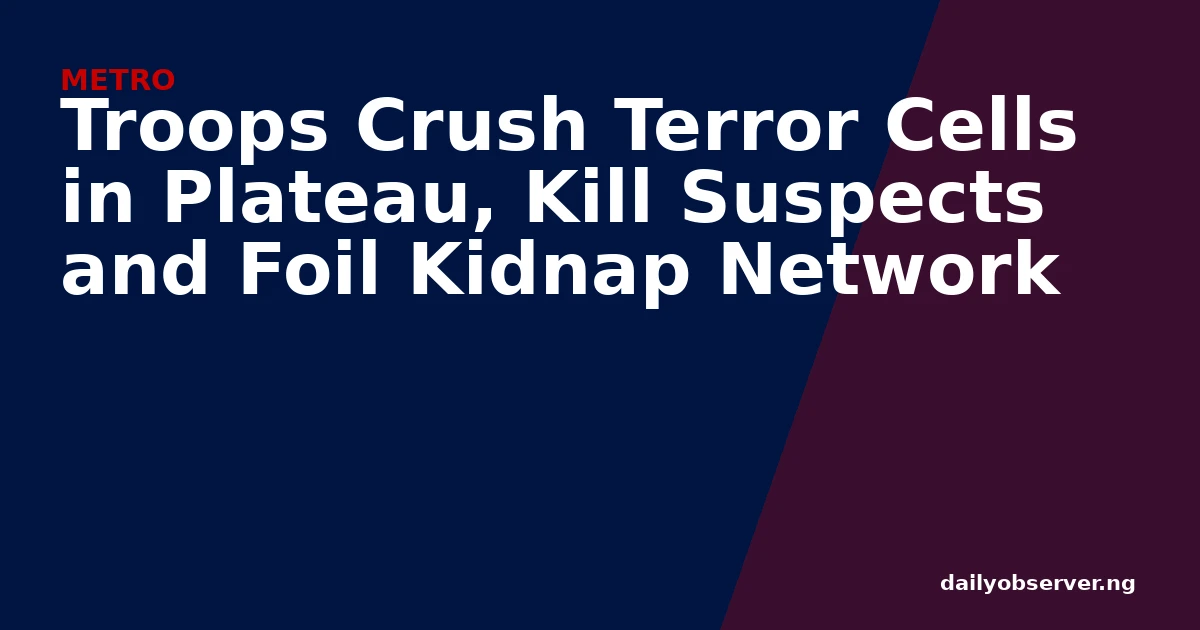 Troops Crush Terror Cells in Plateau, Kill Suspects and Foil Kidnap Network