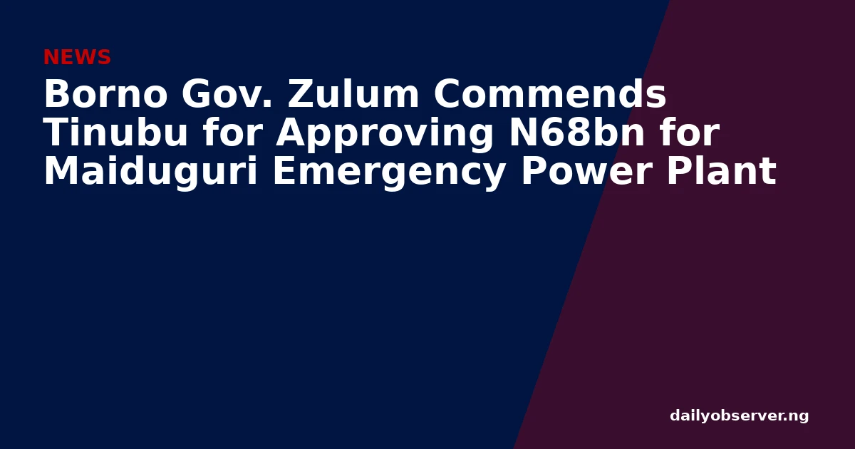 Borno Gov. Zulum Commends Tinubu for Approving N68bn for Maiduguri Emergency Power Plant
