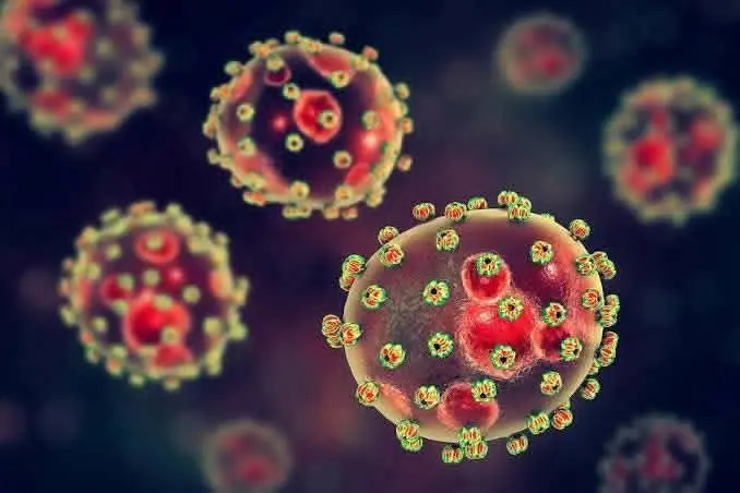 Plateau Records Lassa Fever Outbreak With 11 Confirmed Cases, Four Deaths