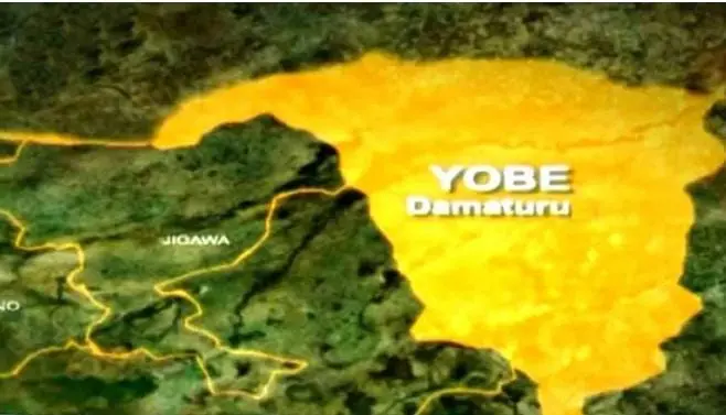 Nigerian Police Arrest 18-Year-Old Wife Over Alleged Genital Mutilation of Husband in Yobe State