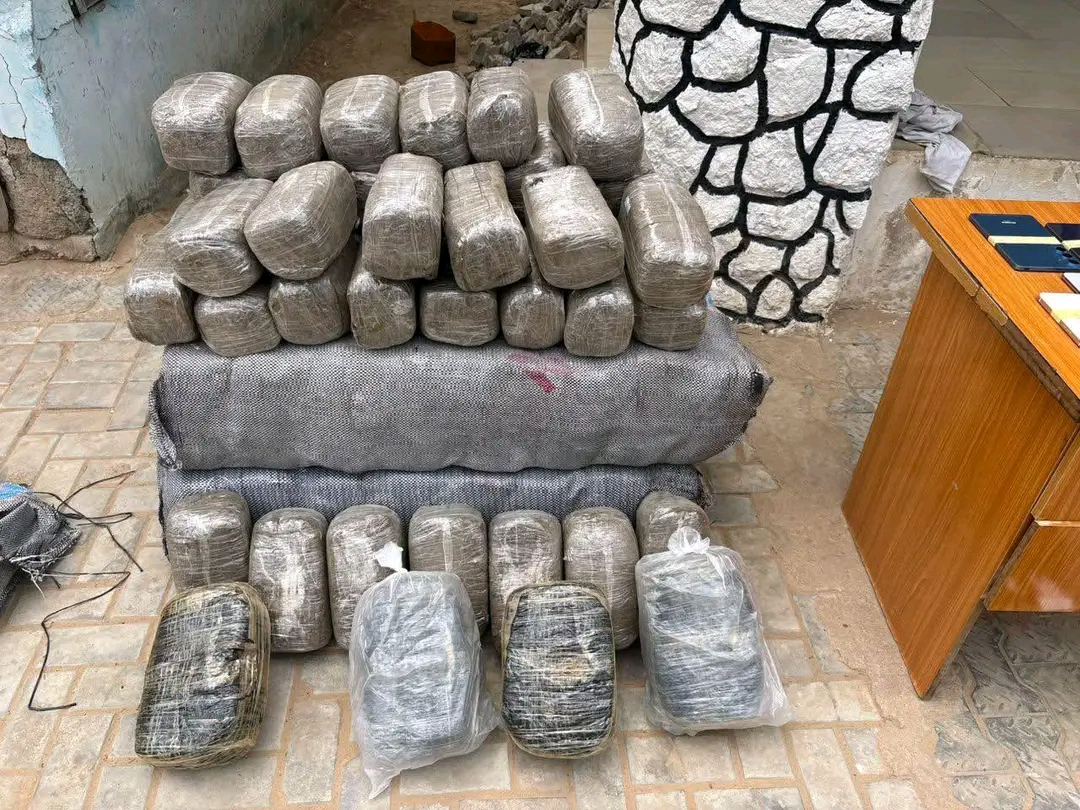 Nigeria Police Recover Over 40 Phones, Suspected Drugs Worth ₦6.5m in Crackdown on Criminals