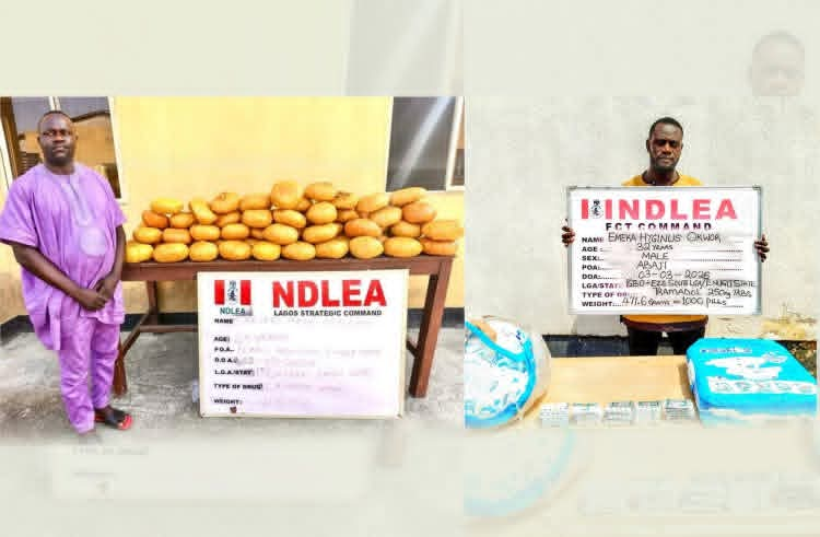 Ex-Lagos Councillor Arrested as NDLEA Uncovers Drugs Hidden in Baby Diapers, Seizes IED Components
