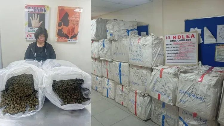 NDLEA Nets 63-Year-Old Chinese Woman With 31kg ‘Canadian Loud’ at Lagos Airport, Uncovers Multi-Billion Naira Drug Haul