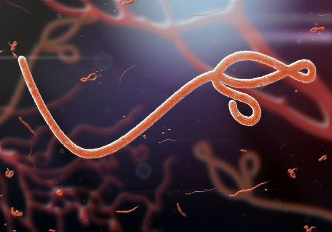 Ebola Threatens $3.6bn Loss, Hundreds of Thousands of Jobs Across Africa — UNDP