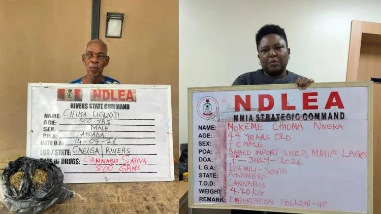 NDLEA Busts Major Drug Ring, Seizes 1.63m Tramadol Pills Bound for Kano, Arrests 80-Year-Old Suspect