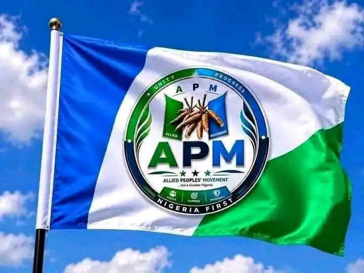 APM Sweeps Bauchi LG Elections, Wins All 20 Chairmanship Seats