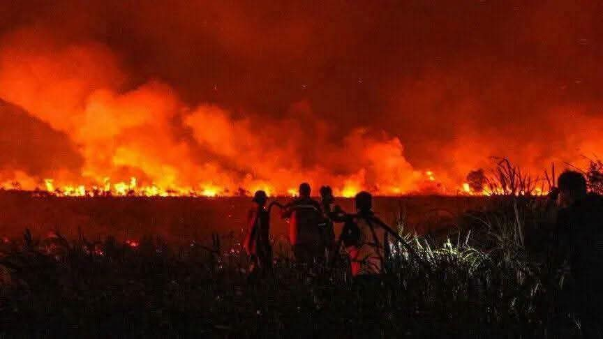 Wildfires Choke Indonesia’s Banjarbaru With Smoke as Fires Ravage Over 1,200 Hectares