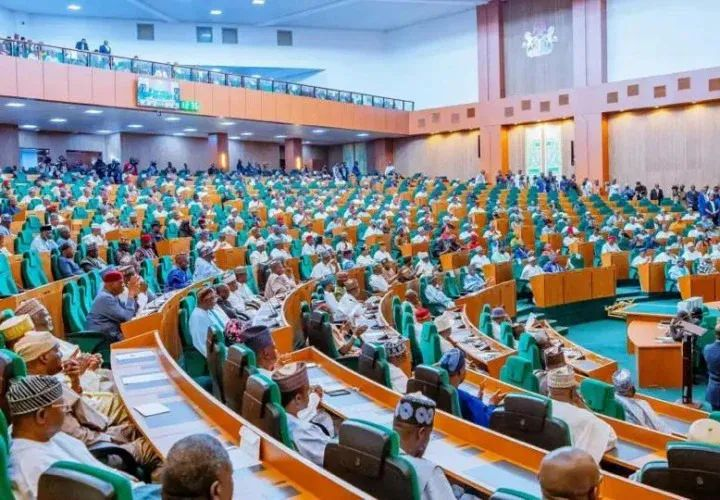 Reps Summon DMO, TCN Over N54.57tn Borrowing Discrepancy, N446.7bn Unrecovered Debt