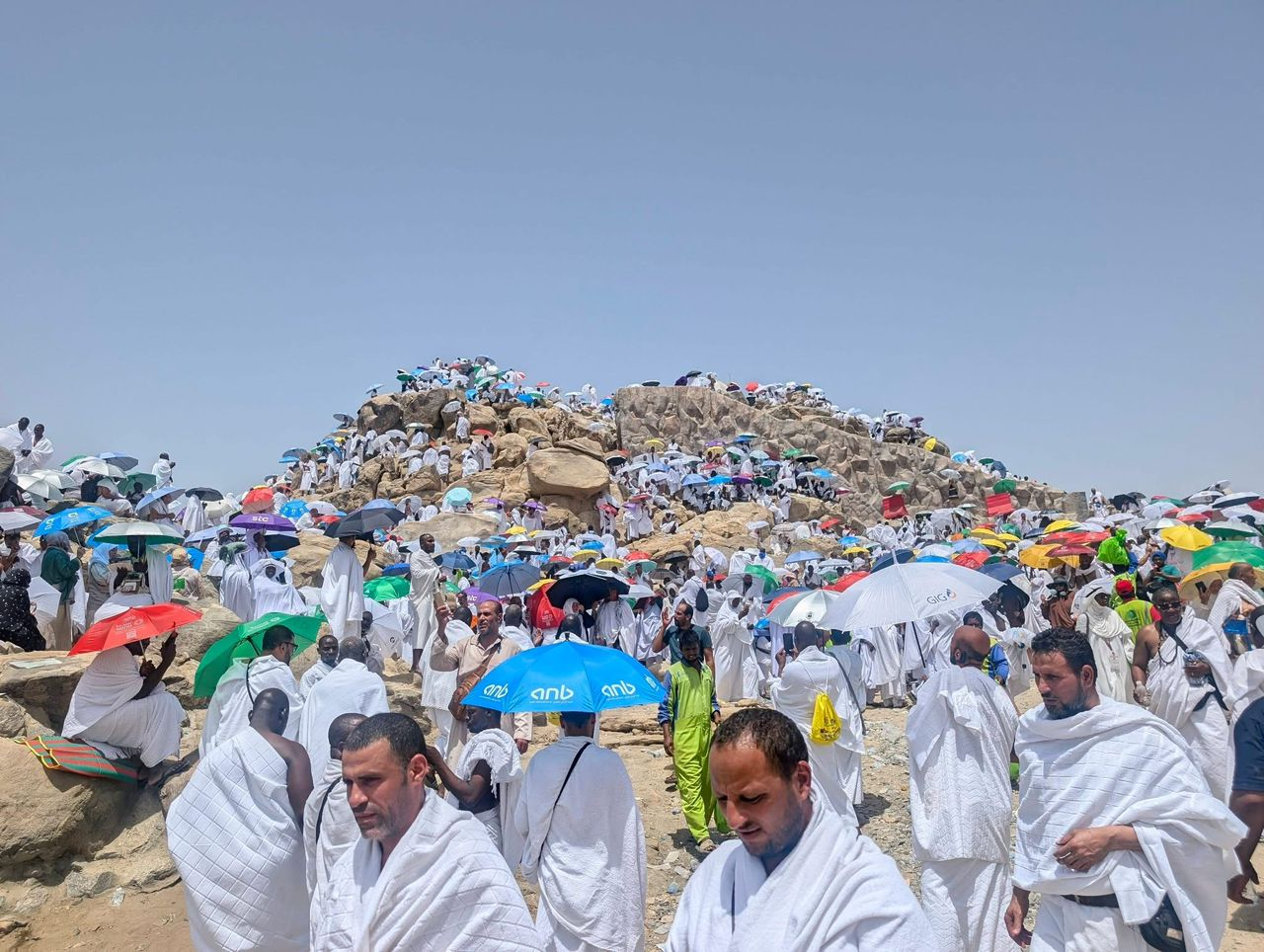 Governor Zulum Provides Sacrificial Rams for 1,725 Borno Pilgrims on 2026 Hajj