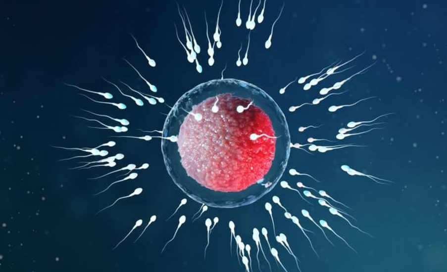Nigerian Men Face Sperm Count Decline, Medical Expert Warns; Foundation Offers 10 Free IVF Treatments