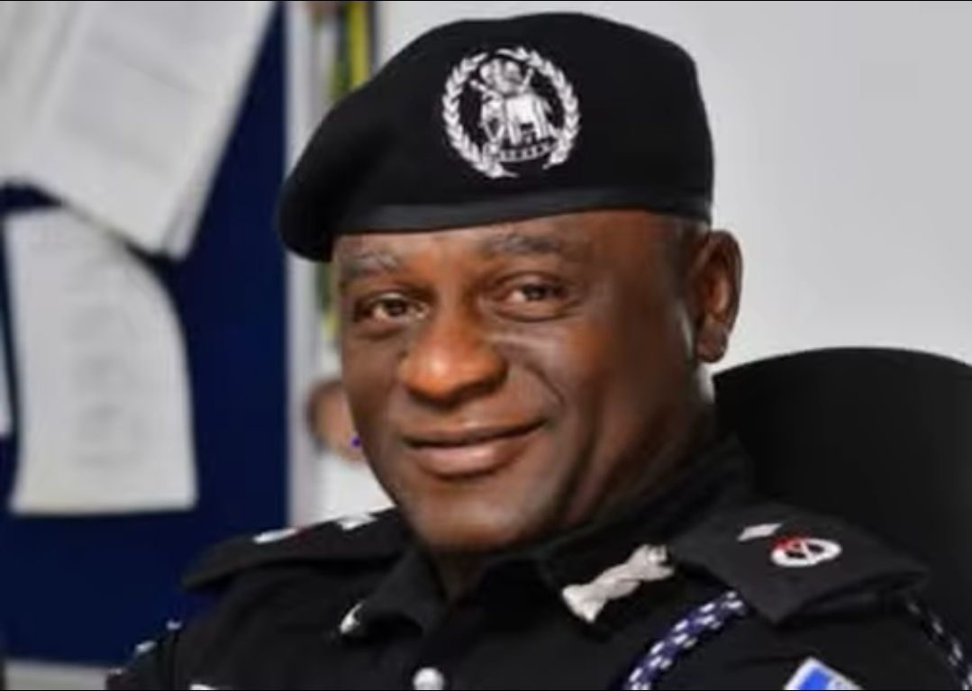 Nigeria Judo Federation Hails Disu’s Appointment as Acting IGP, Cites Merit and Professionalism