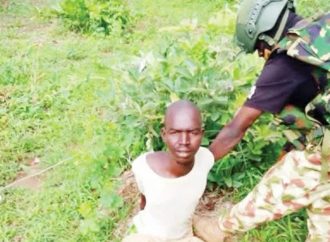 Nigerian Troops Arrest Suspected Sudanese Terrorist, Ghanaian Illegal Immigrant in Borno