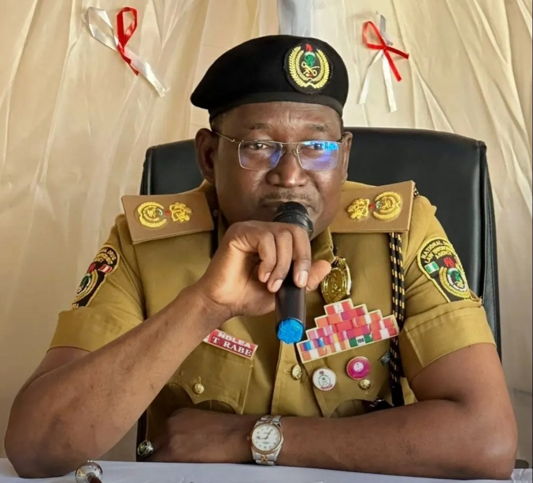 NDLEA Fires Back at Sowore Over Cannabis Farm Destruction, Says ‘Leadership Is Not Built on Insults