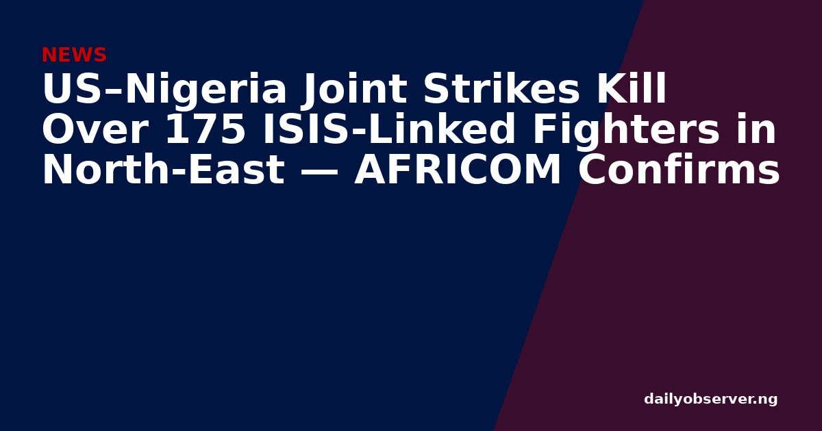 US–Nigeria Joint Strikes Kill Over 175 ISIS-Linked Fighters in North-East — AFRICOM Confirms