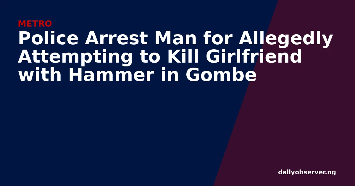 Police Arrest Man for Allegedly Attempting to Kill Girlfriend with Hammer in Gombe