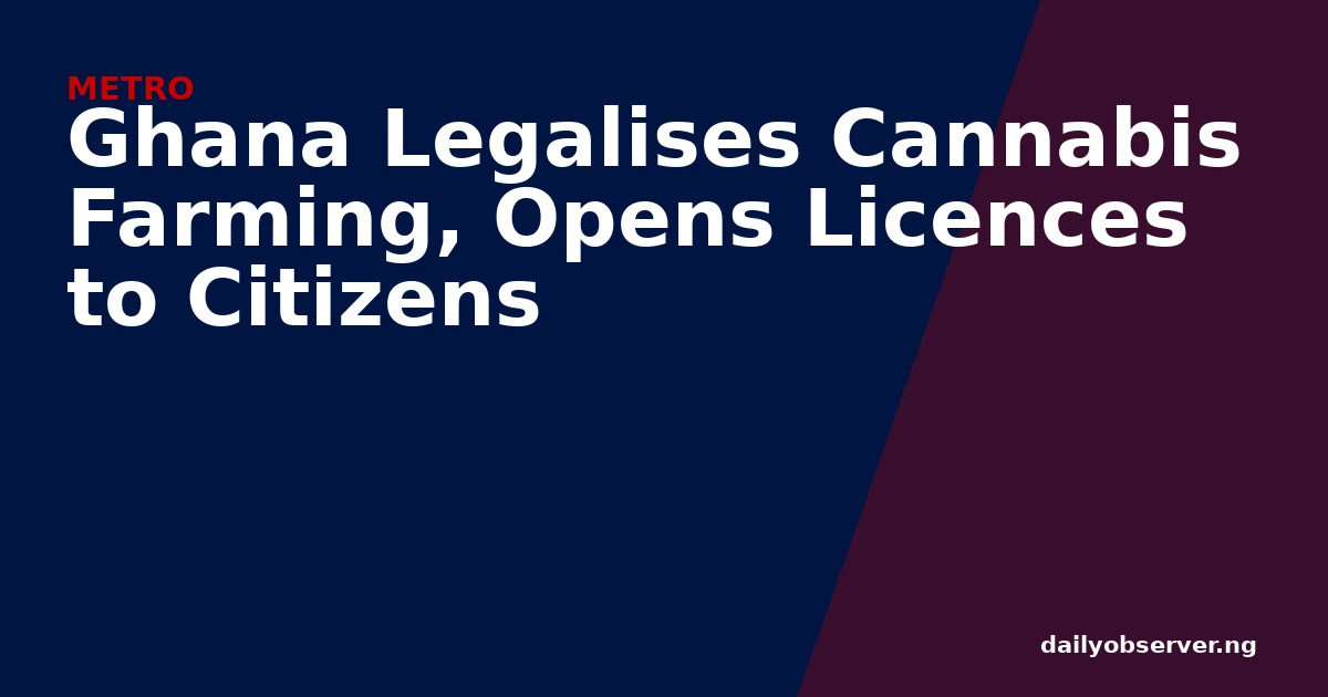 Ghana Legalises Cannabis Farming, Opens Licences to Citizens