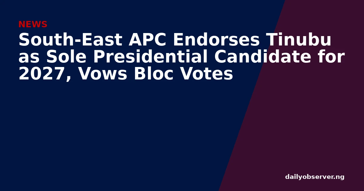 South-East APC Endorses Tinubu as Sole Presidential Candidate for 2027, Vows Bloc Votes